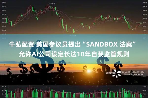 牛弘配资 美国参议员提出“SANDBOX 法案” 允许AI公司设定长达10年自我监管规则