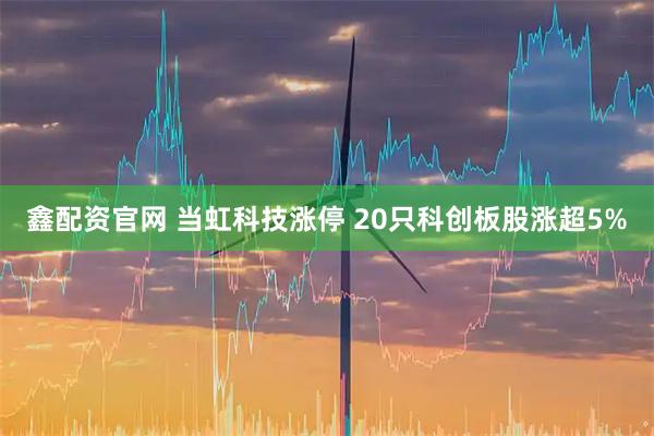 鑫配资官网 当虹科技涨停 20只科创板股涨超5%