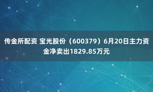传金所配资 宝光股份（600379）6月20日主力资金净卖出1829.85万元