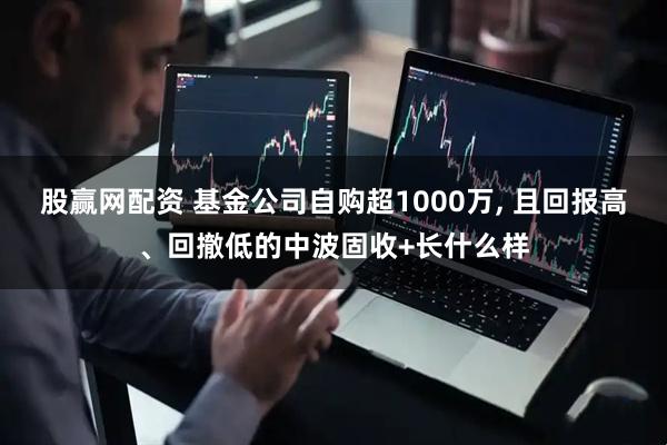 股赢网配资 基金公司自购超1000万, 且回报高、回撤低的中波固收+长什么样